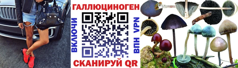 Купить закладки  Тетюши  Галлюциногенные грибы мухоморы 