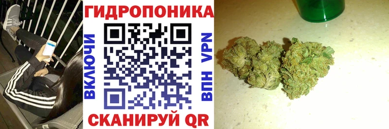 Купить где  Тетюши  Канабис OG Kush 